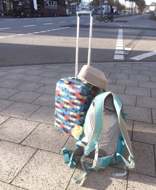 elefantenfeder geht im Oktober auf Tour! elefantenfeder geht im Oktober auf Tour!